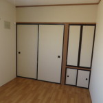 南東側洋室収納(収納)