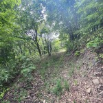 現地周辺(外観)