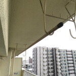 (バルコニー（テラス）)