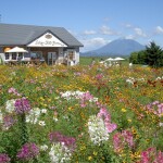 レークヒルファーム(周辺) レークヒルファーム(周辺)