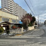 南西側道路(外観)